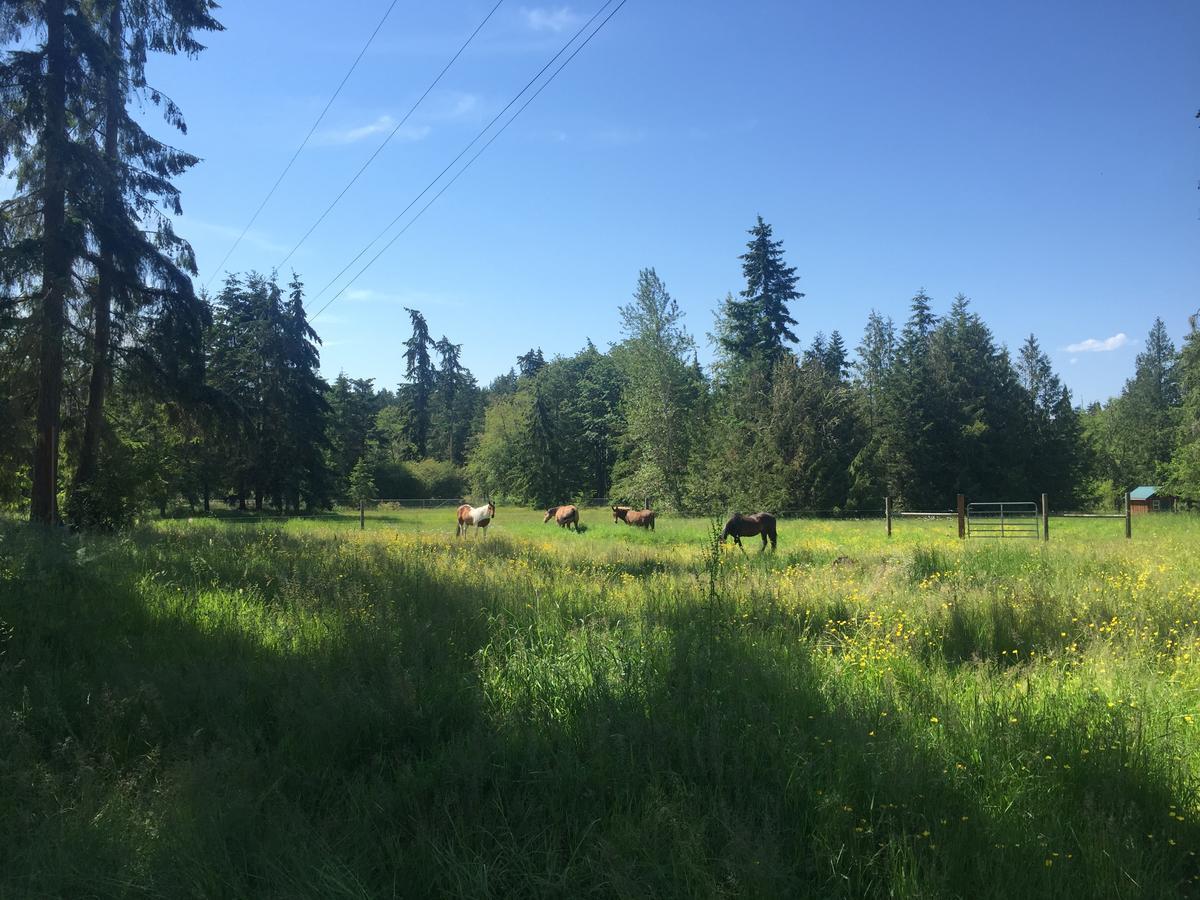 Hotel Bond Ranch Retreat King Hill Esterno foto
