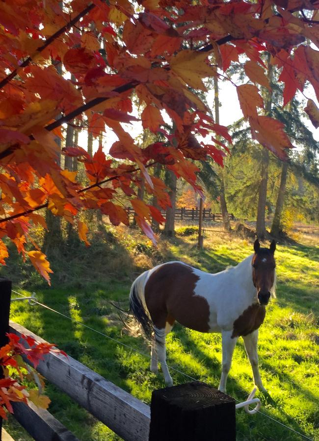 Hotel Bond Ranch Retreat King Hill Esterno foto